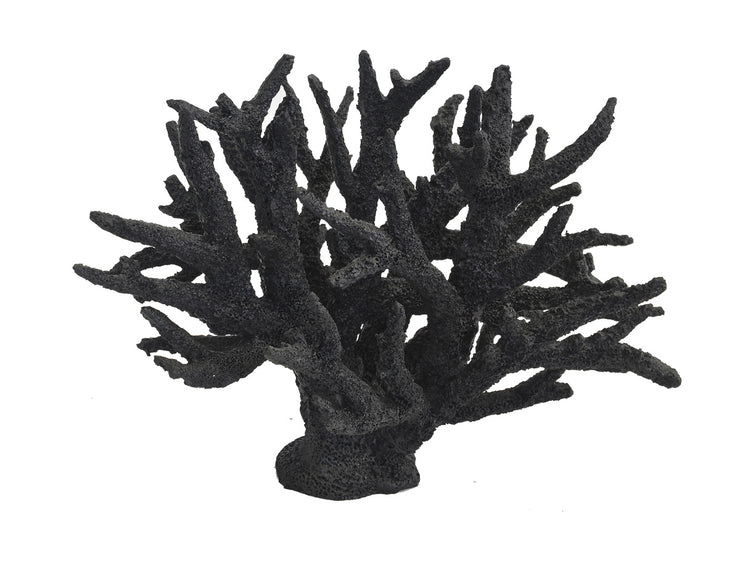 Coral Branch (Color Black)